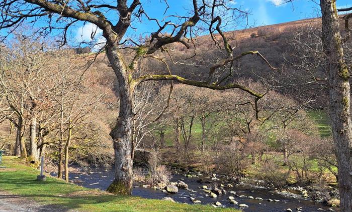 River Elan on site